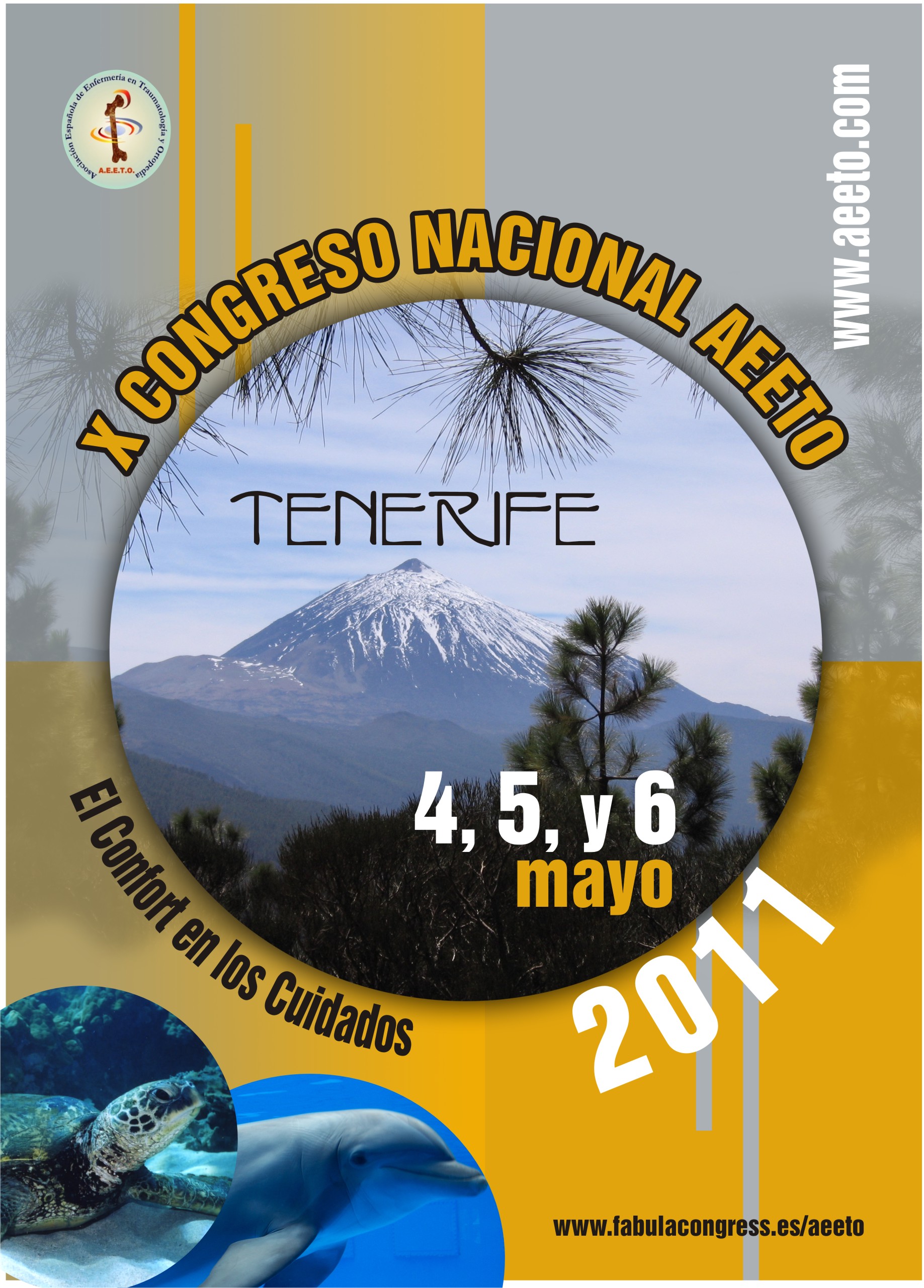 2-Tenerife202011