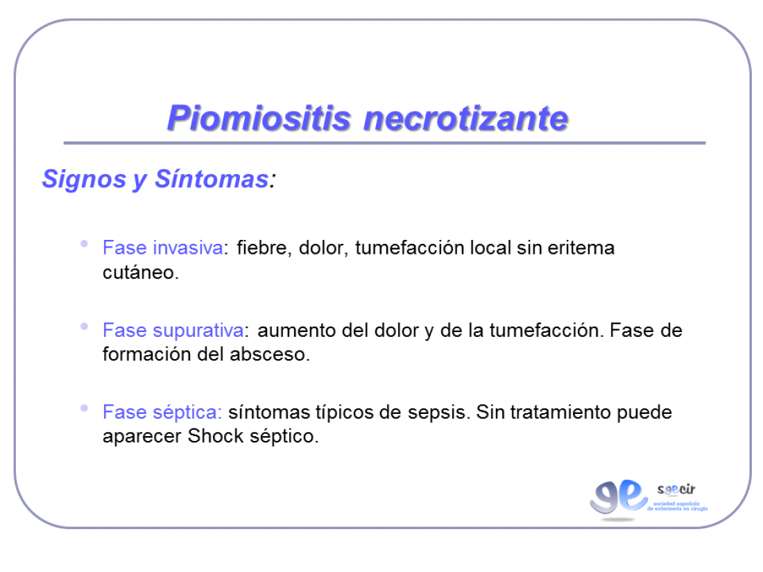 Diapositiva07